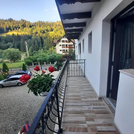 Отель Casa Dana Olteanu Моечиу-де-Сус Экстерьер фото