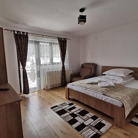 Отель Casa Dana Olteanu Моечиу-де-Сус Экстерьер фото