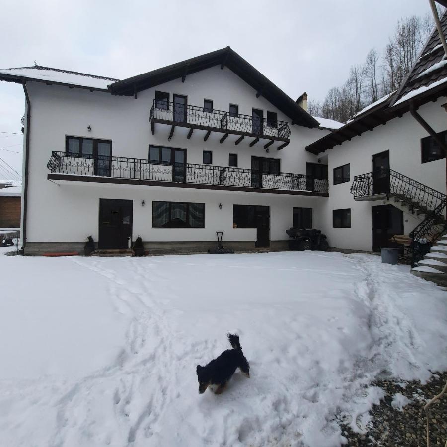 Отель Casa Dana Olteanu Моечиу-де-Сус Экстерьер фото