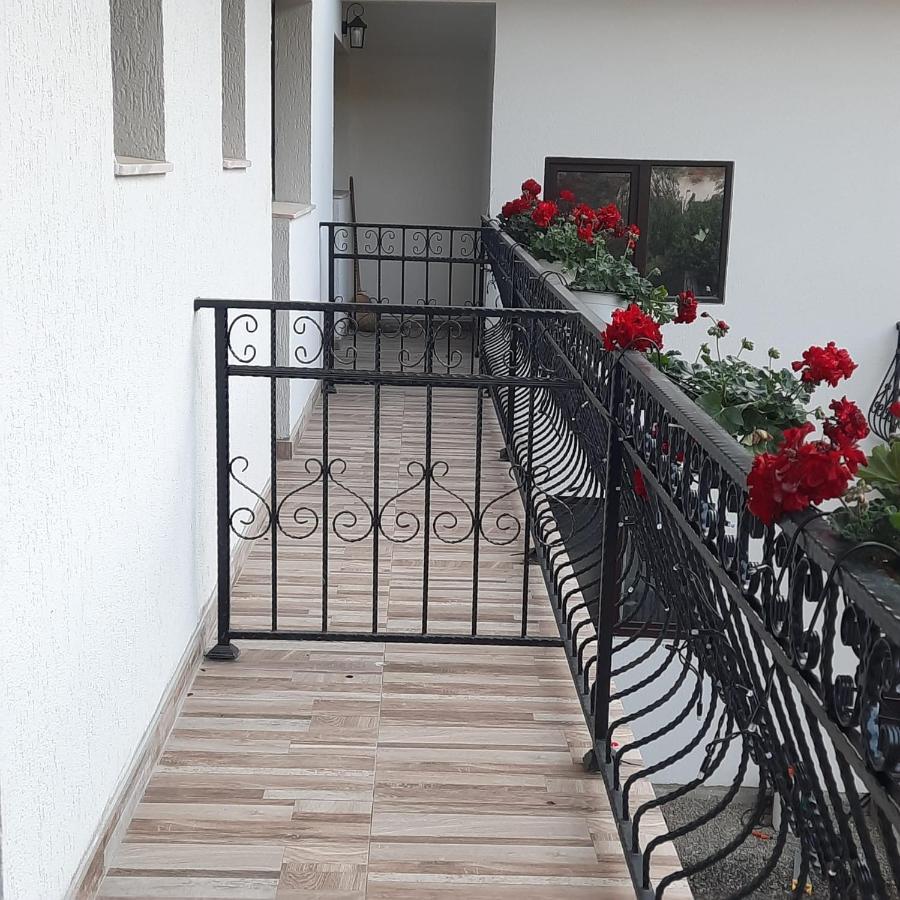 Отель Casa Dana Olteanu Моечиу-де-Сус Экстерьер фото