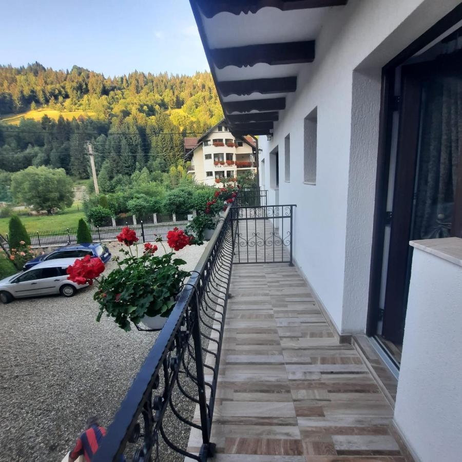 Отель Casa Dana Olteanu Моечиу-де-Сус Экстерьер фото