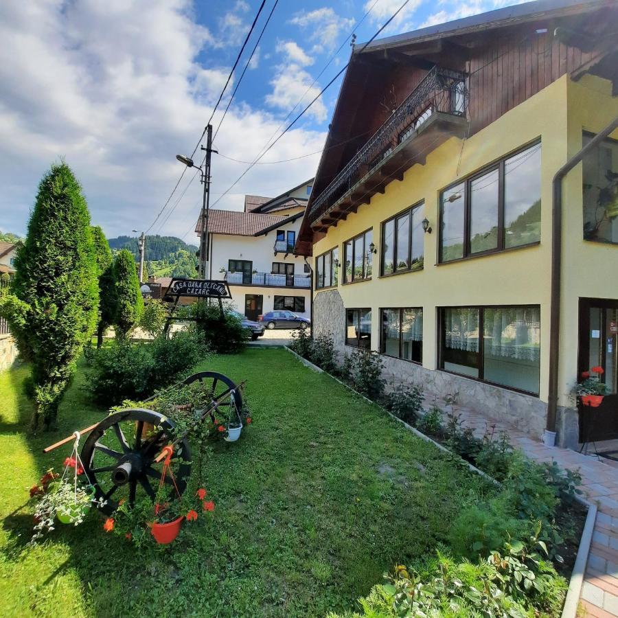 Отель Casa Dana Olteanu Моечиу-де-Сус Экстерьер фото