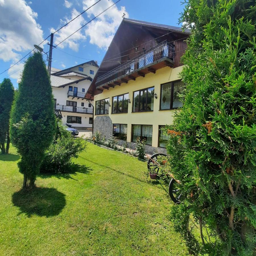 Отель Casa Dana Olteanu Моечиу-де-Сус Экстерьер фото