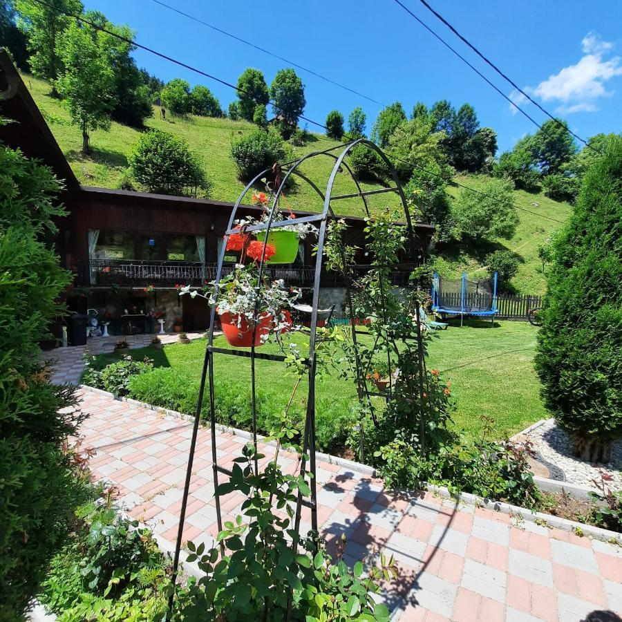 Отель Casa Dana Olteanu Моечиу-де-Сус Экстерьер фото