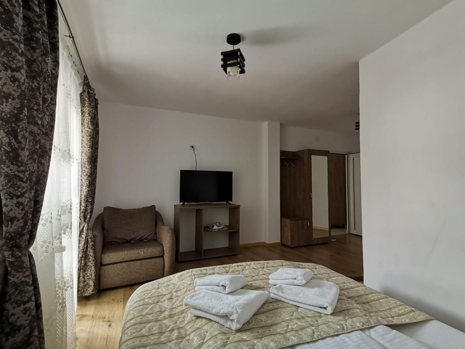 Отель Casa Dana Olteanu Моечиу-де-Сус Экстерьер фото