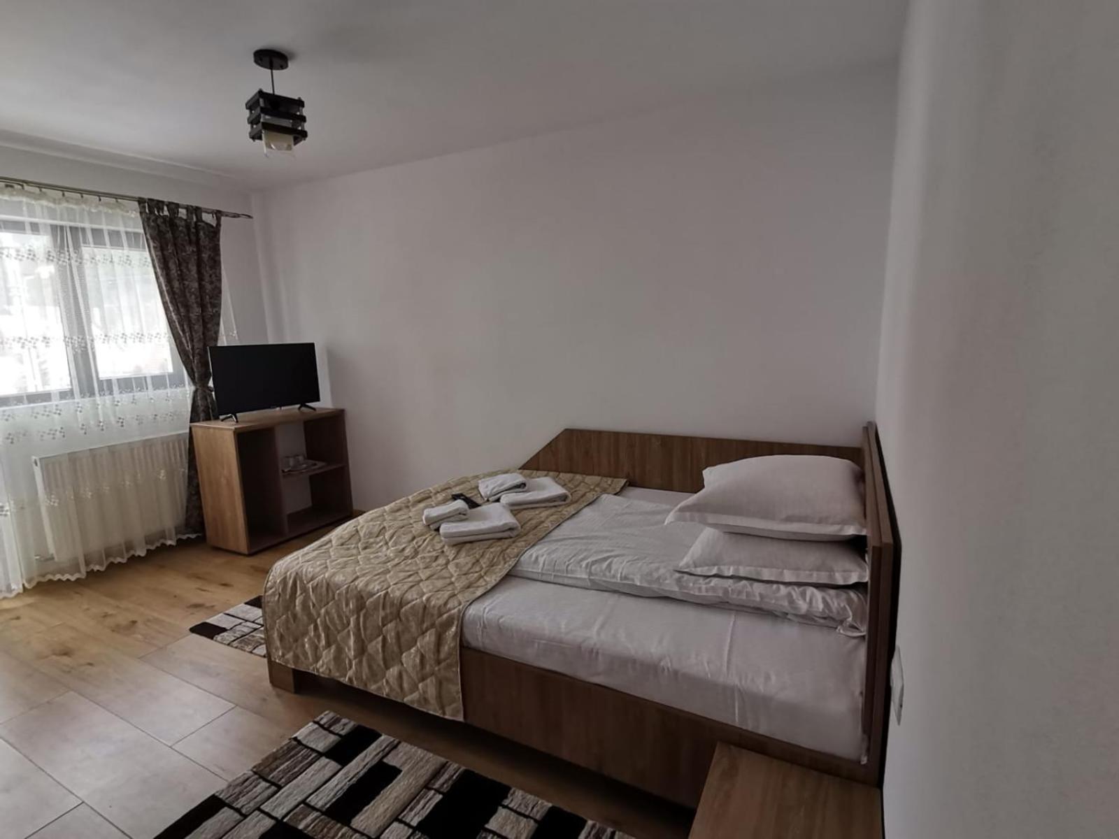 Отель Casa Dana Olteanu Моечиу-де-Сус Экстерьер фото